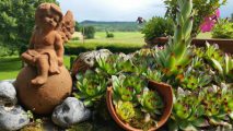 Seminare in der Natur